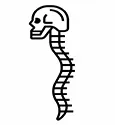 جراحی ستون فقرات
